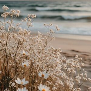 Meet your Posher, Alicia